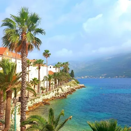 Ana Lotre ヴェラ・ルカ