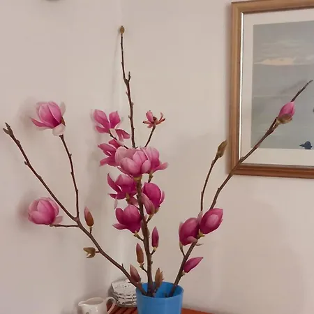 Ana Lotre * ヴェラ・ルカ